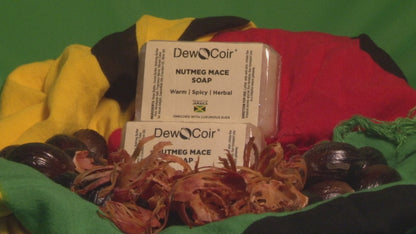 Nutmeg Mace Soap